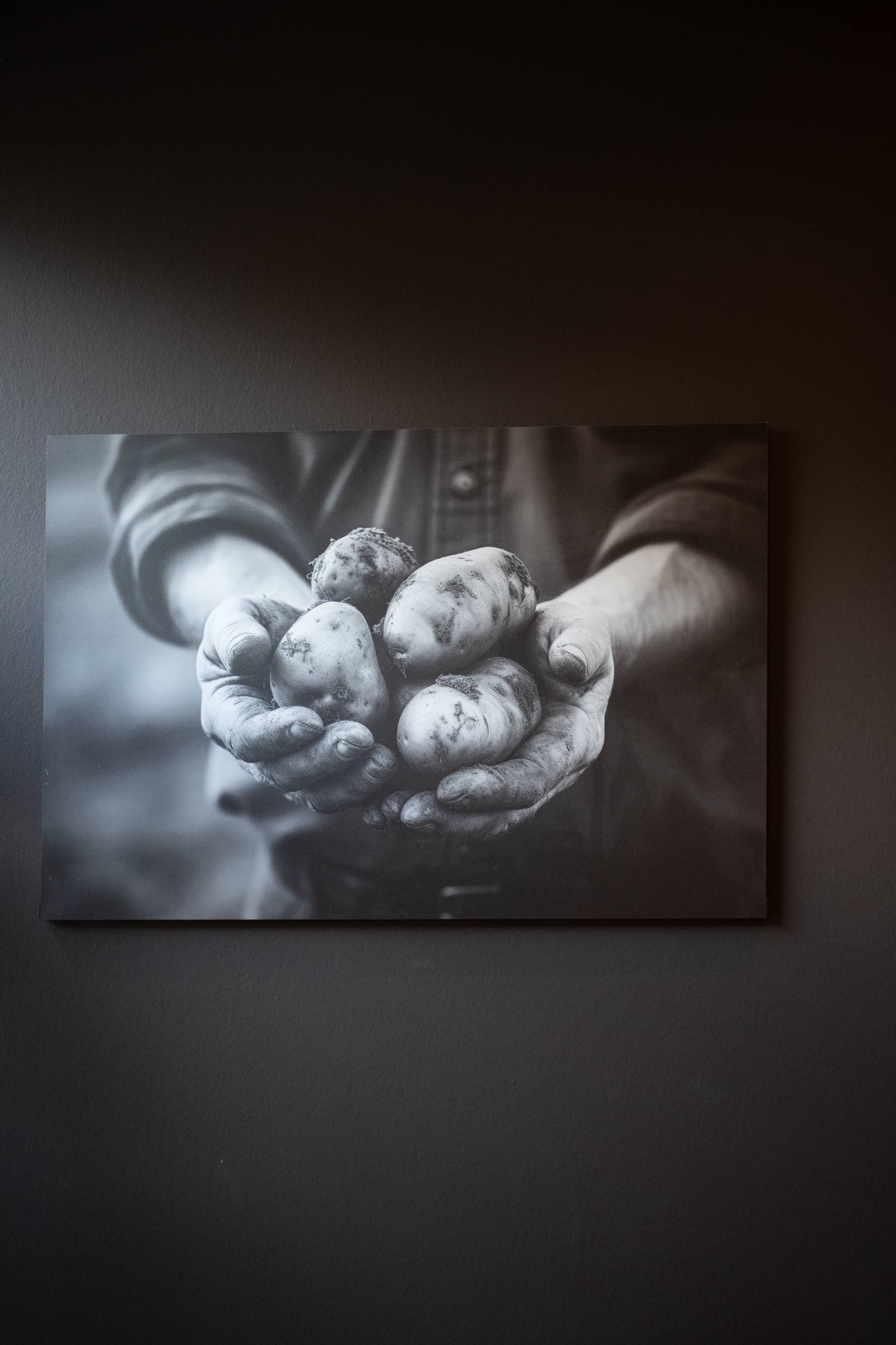 Le tableau des mains et des pommes de terre
