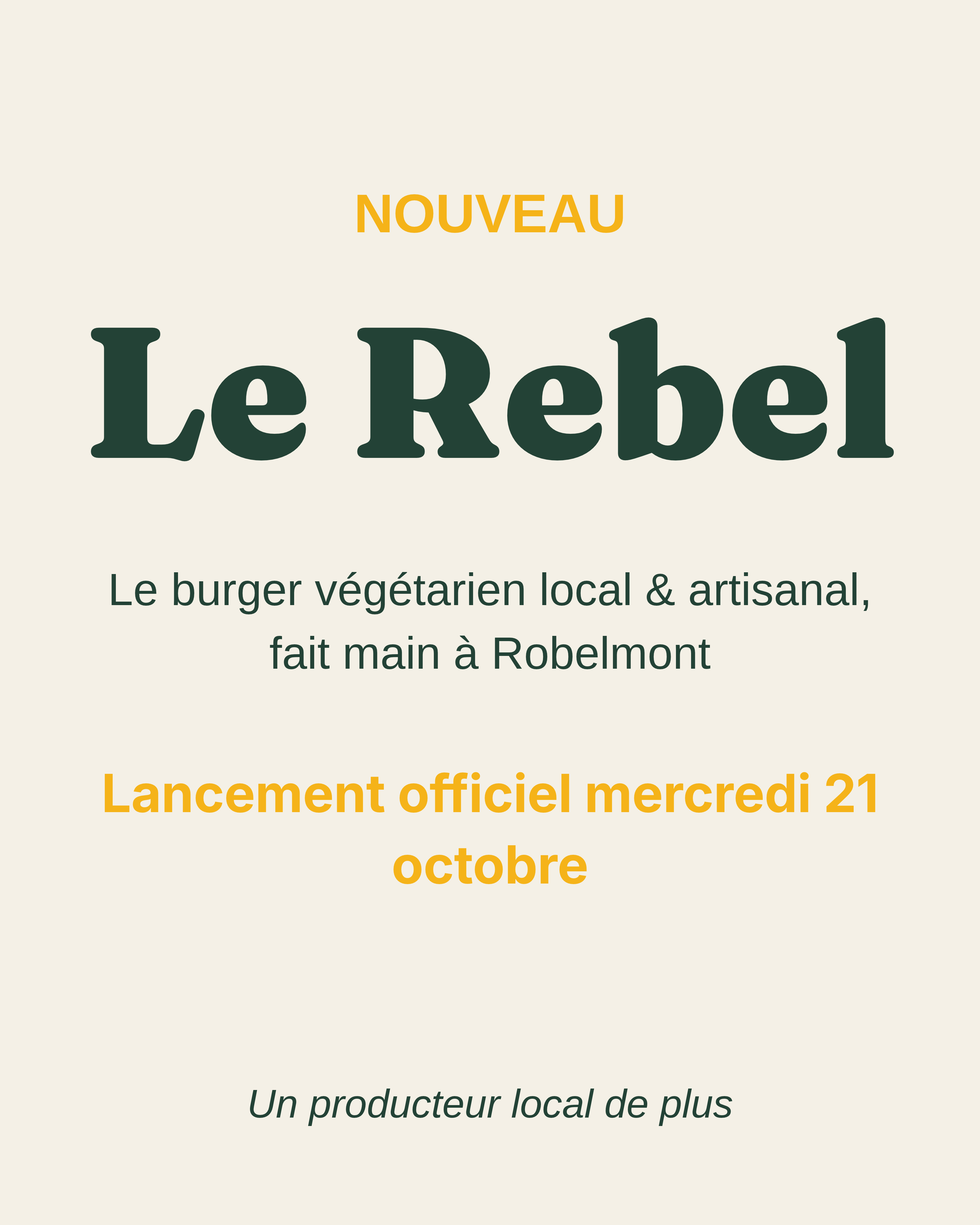 Le Rebel, le burger végétarien local
